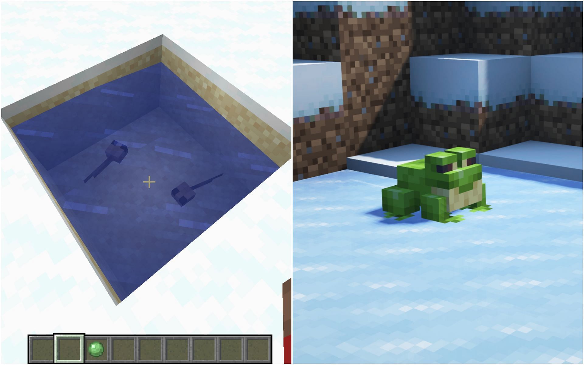Green frogs can only be spawned when tadpoles are grown in a cold biome (Image via Minecraft 1.19 update)