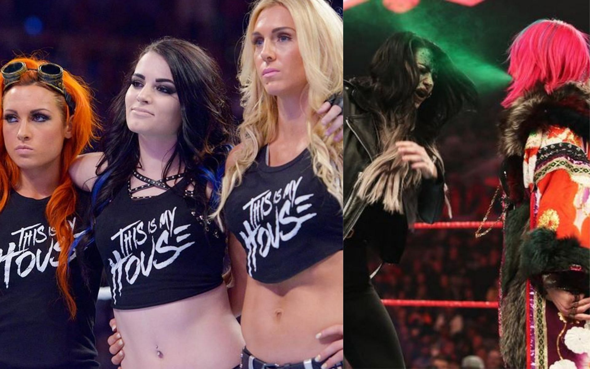 Paige could have taken part in many dream matches!