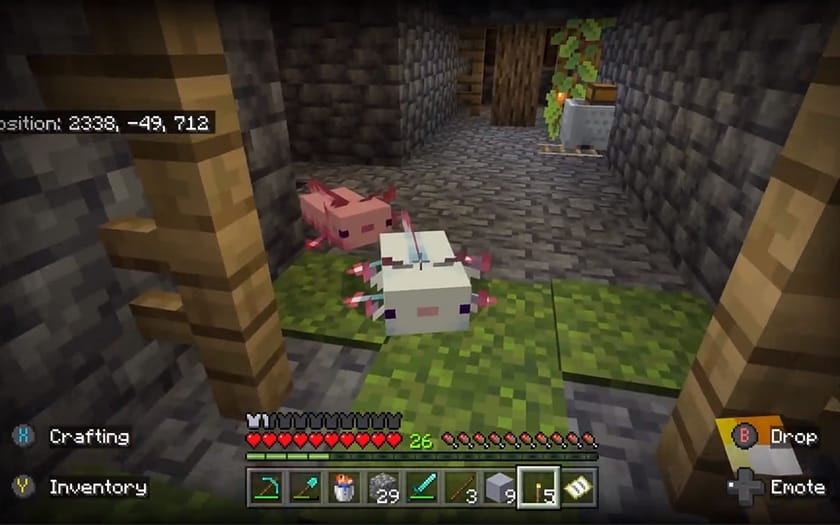 Minecraft Redditor meets an adorable Axolotl family in Lush Caves
