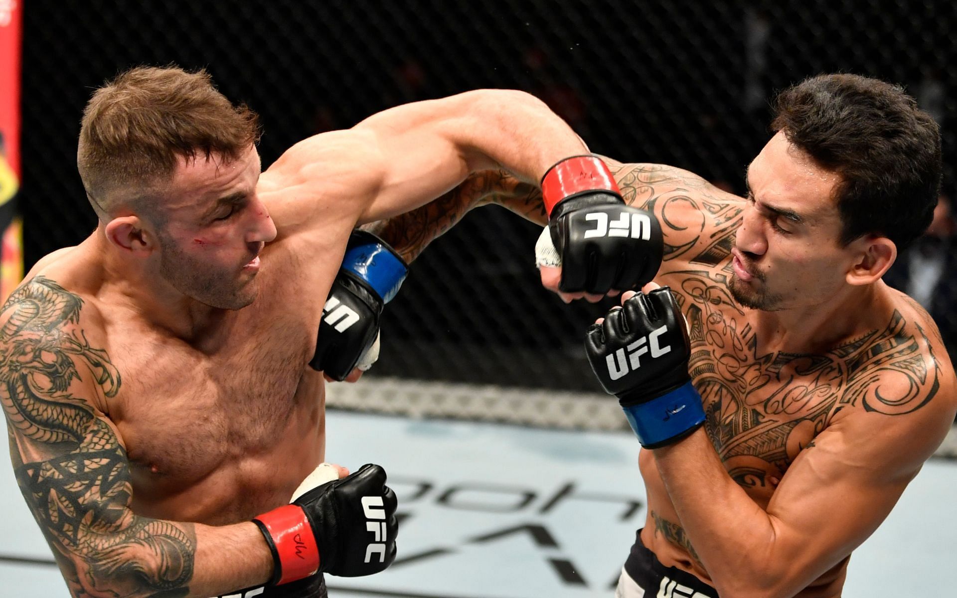 Alexander Volkanovski was able to beat Max Holloway in all three of their clashes