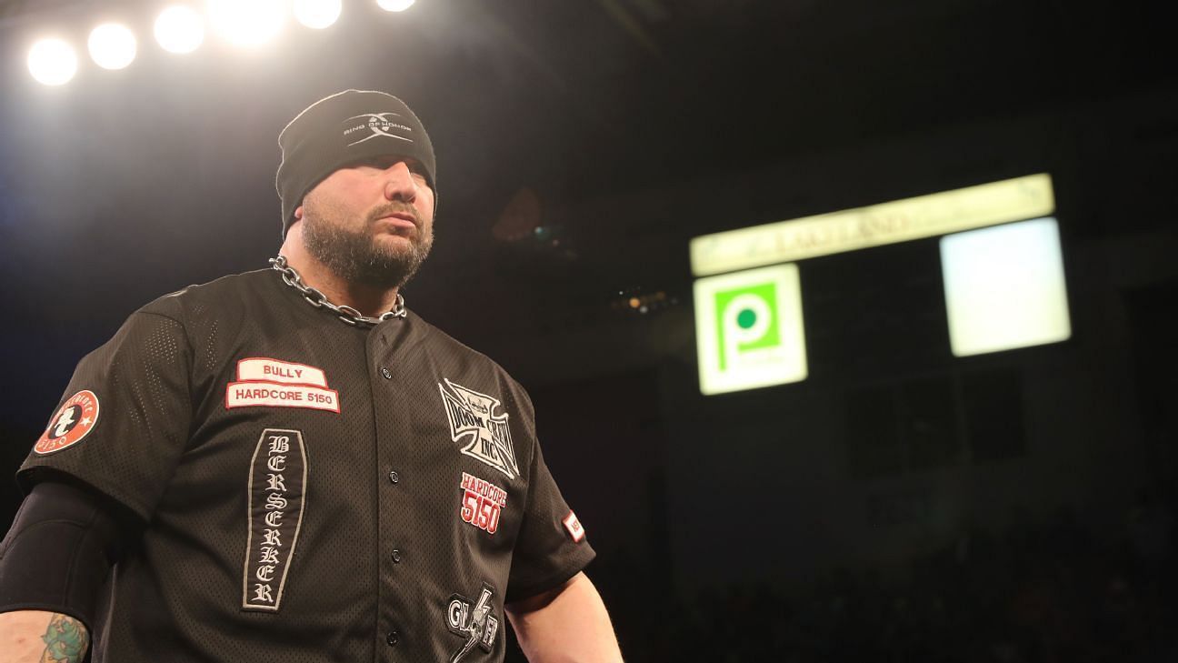 Bully Ray is a former WWE Tag Team Champion