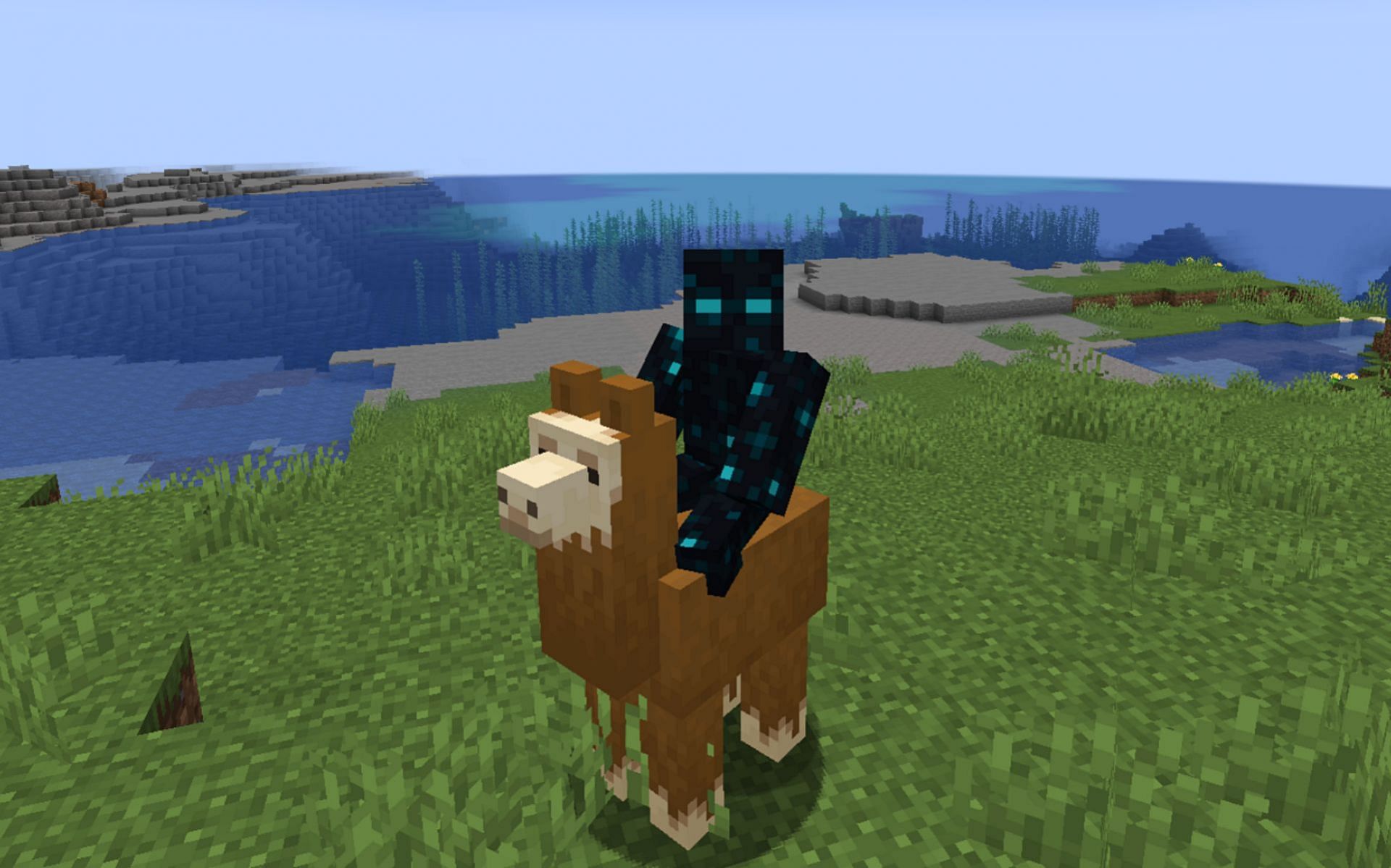 Llamas can be ridden but cannot be controlled (Image via Minecraft 1.19 update)