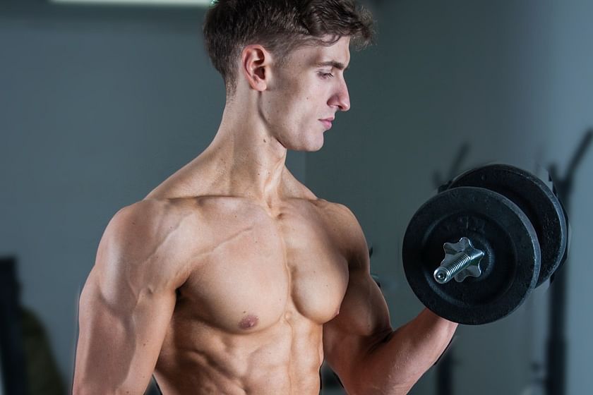 The 6 Best Dumbbell Arm Exercises for Muscle Mass - Fittest Travel