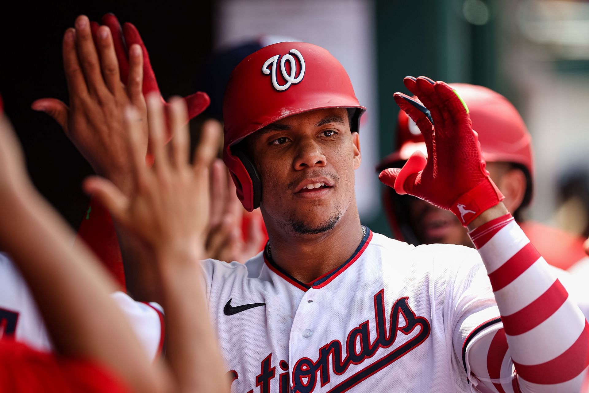 Soto celebrates in the dugout, Seattle Mariners v Washington Nationals.