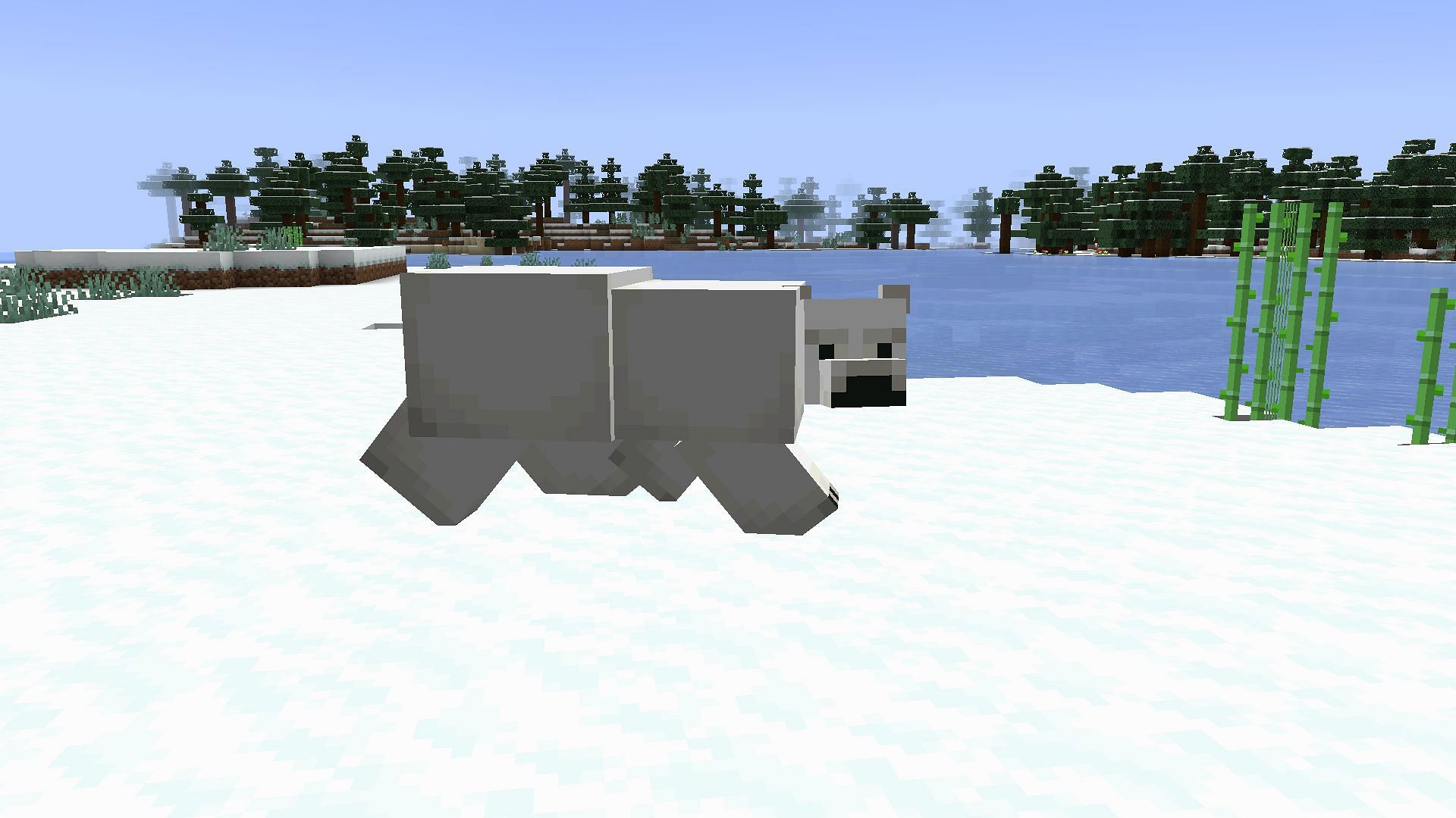 Are Polar bears useless in Minecraft 1.19 update?