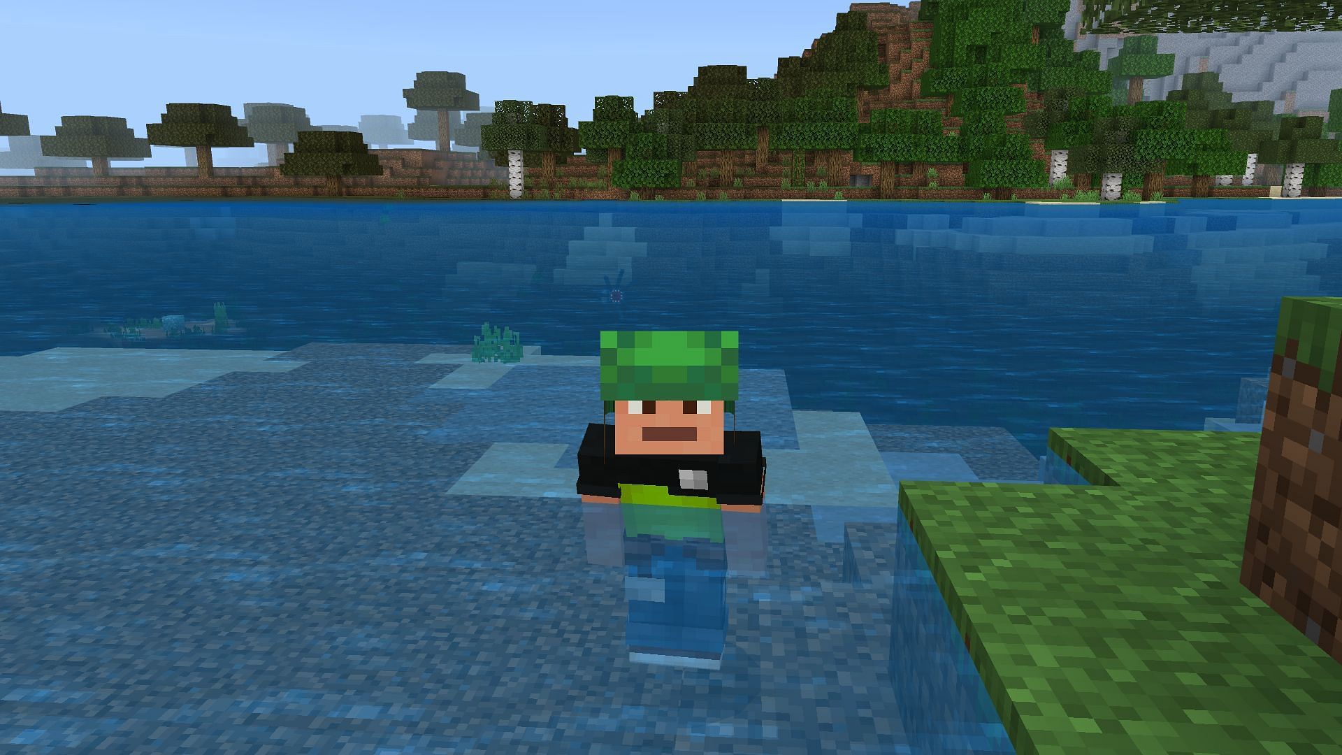 Underwater Minecraft, game, life, minecraft underwater, pufferfish, turtle,  HD phone wallpaper