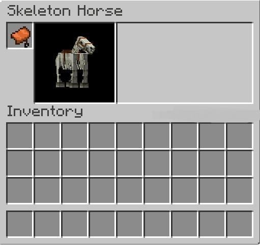 Skeleton Horses in Minecraft