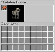 Skeleton Horses in Minecraft