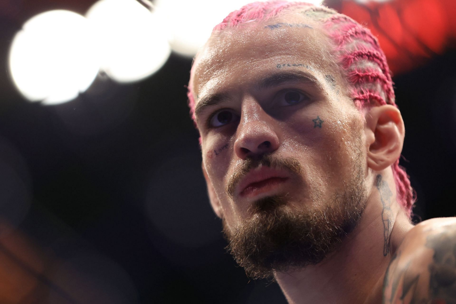 UFC bantamweight Sean O&#039;Malley at UFC 276: Munhoz vs. O&#039;Malley [Image courtesy of Getty]