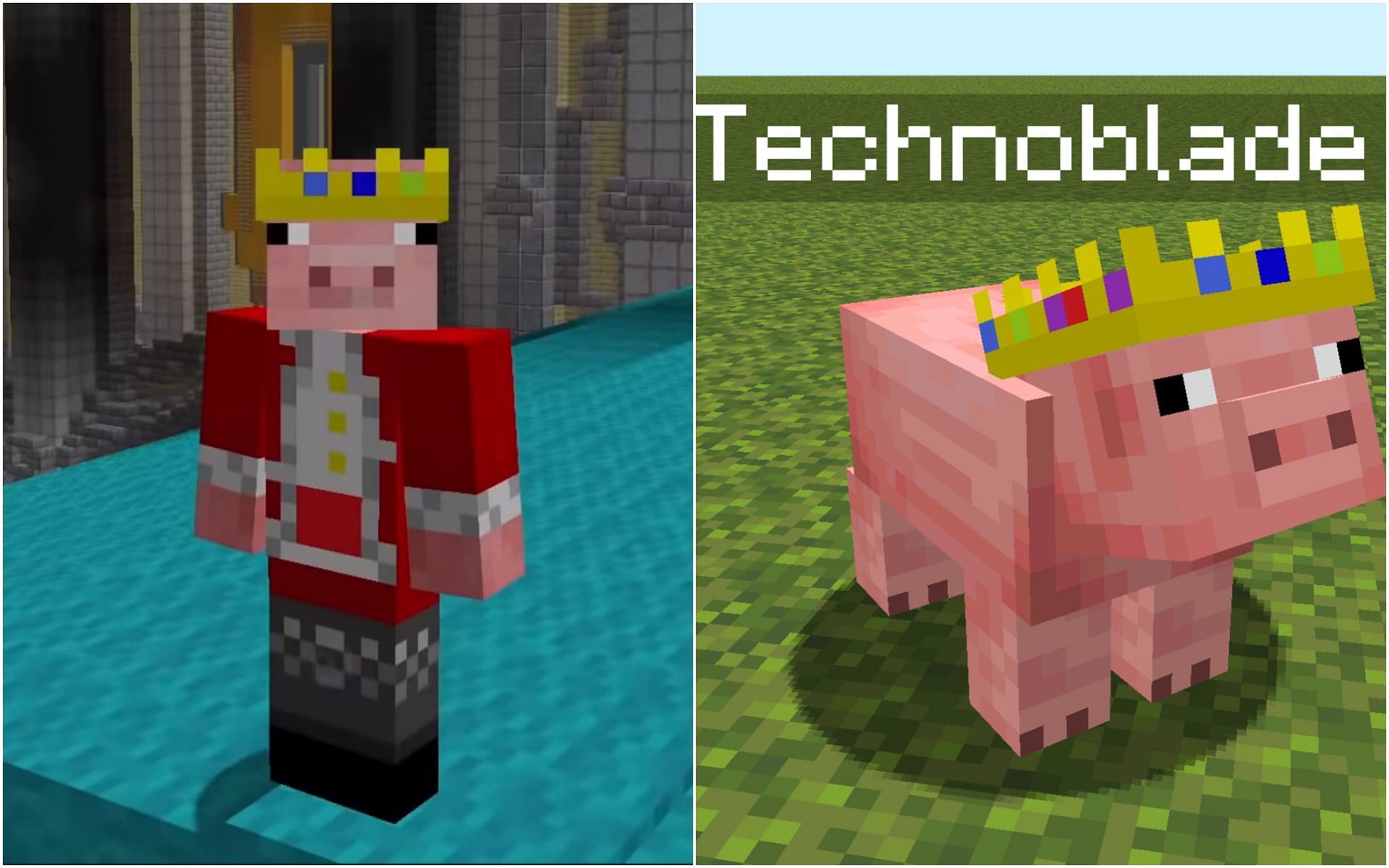 Fanbase urge Mojang to add Technoblade easter egg in Minecraft (Image via Technoblade YouTube / phoenixsc.me)