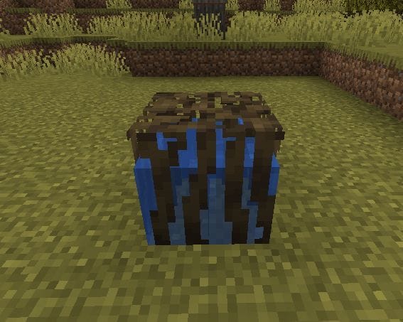 How To Find Mangrove Roots in Minecraft