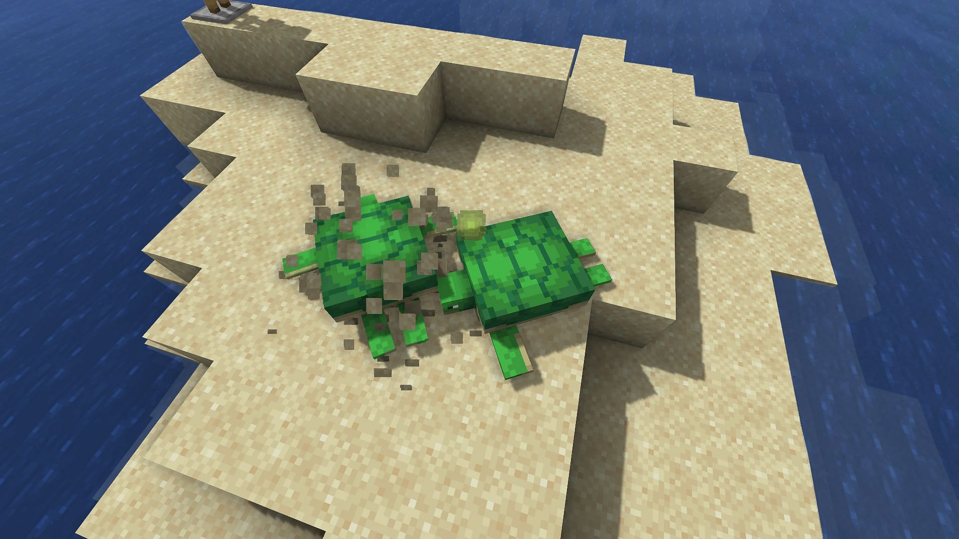 Turtles just after mating (Image via Minecraft)