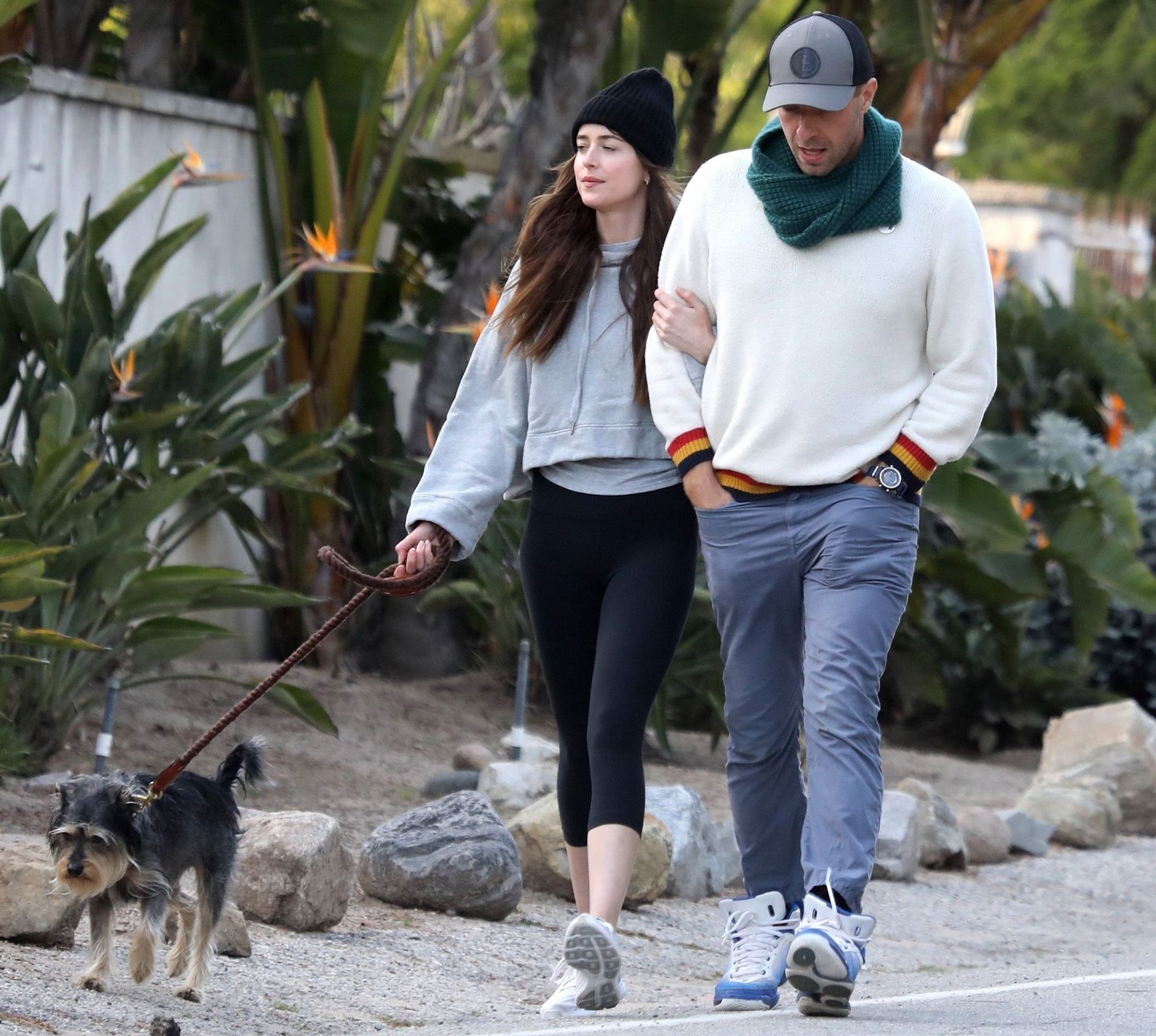 Dakota Johnson and Chris Martin walking Martin&#039;s dog Zeppelin in Malibu (Image via Backgrid)