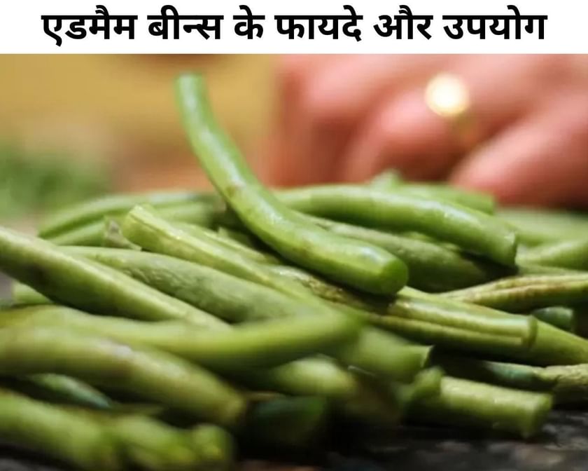 एडमैम बीन्स के 4 फायदे और 4 उपयोग Benefits And Uses Of Edamame Beans