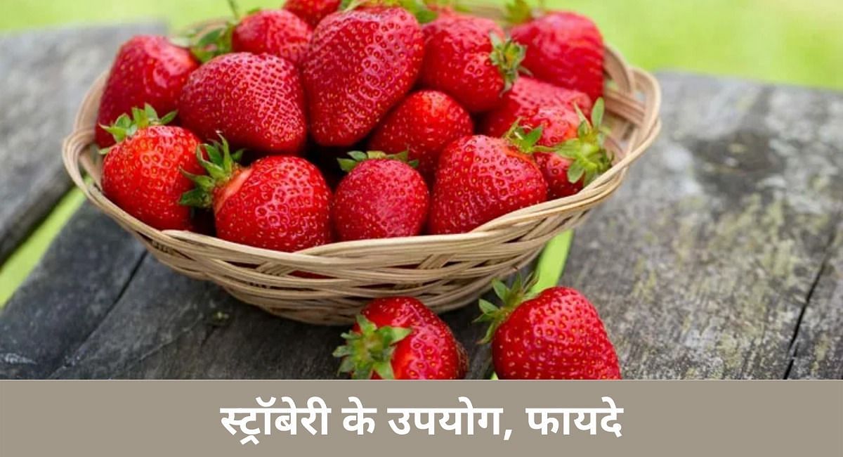 स्ट्रॉबेरी के उपयोग, फायदे(फोटो-Sportskeeda hindi)