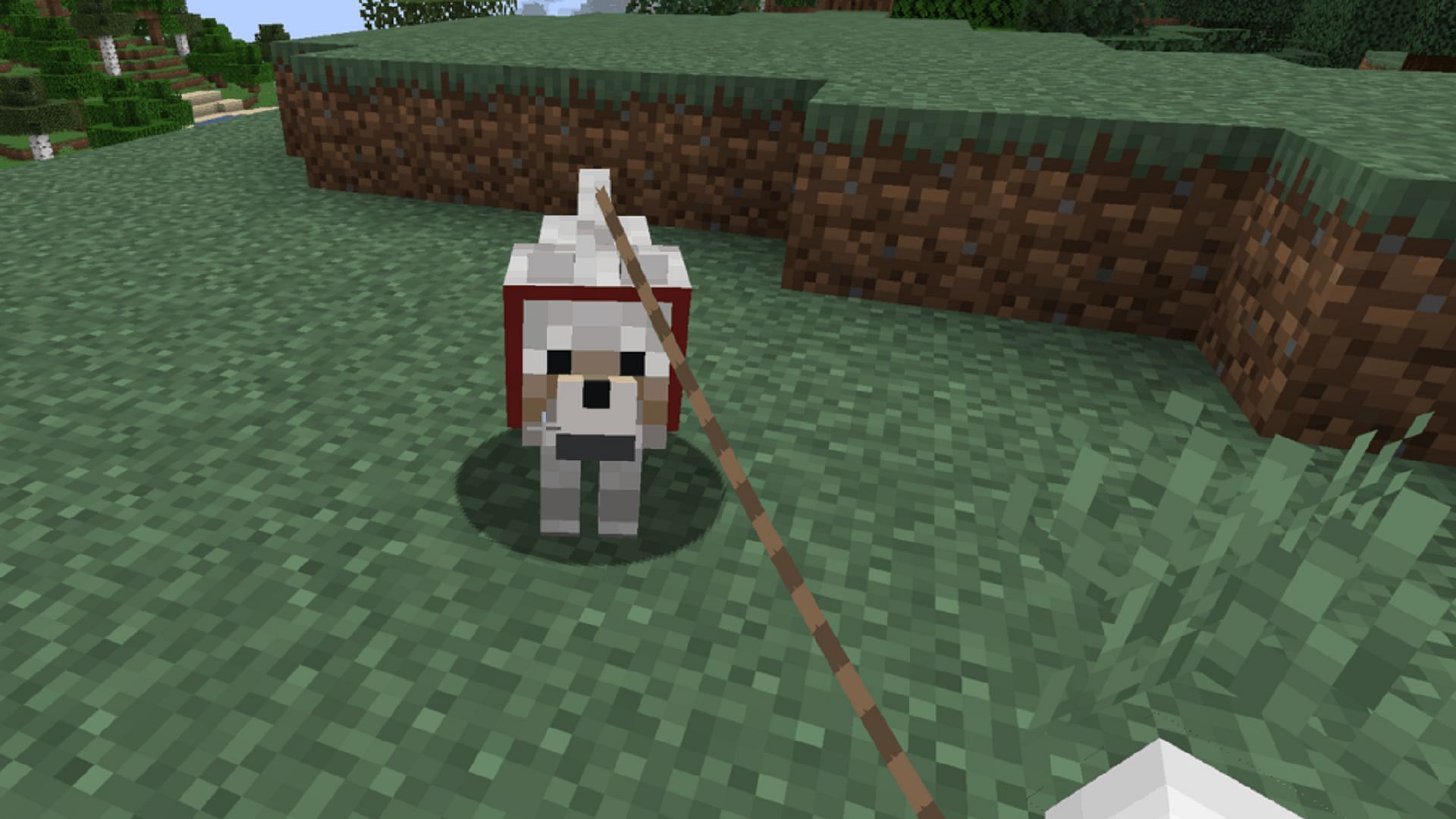 A wolf on a lead in Minecraft (Image via Mojang)