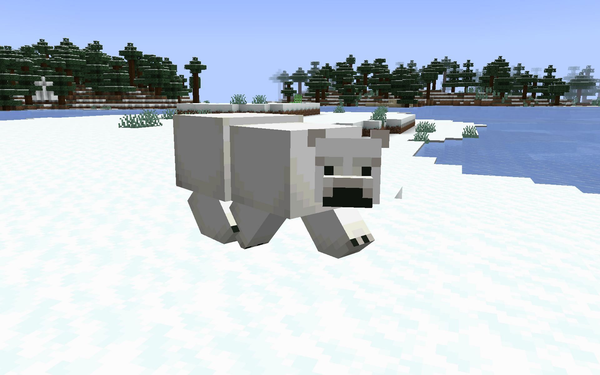 Polar Bears are only in the game to enhance the ambience of snowy biomes (Image via Minecraft 1.19)