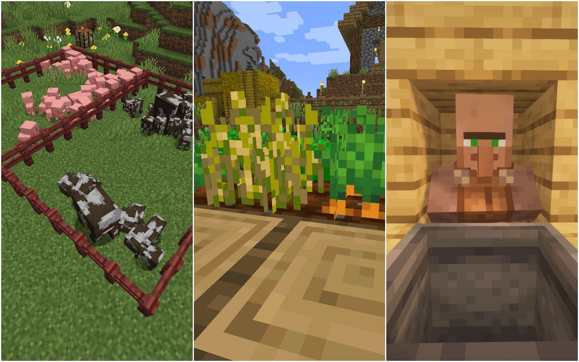 Some of the essential areas to build in the game (Image via Minecraft 1.19 update)