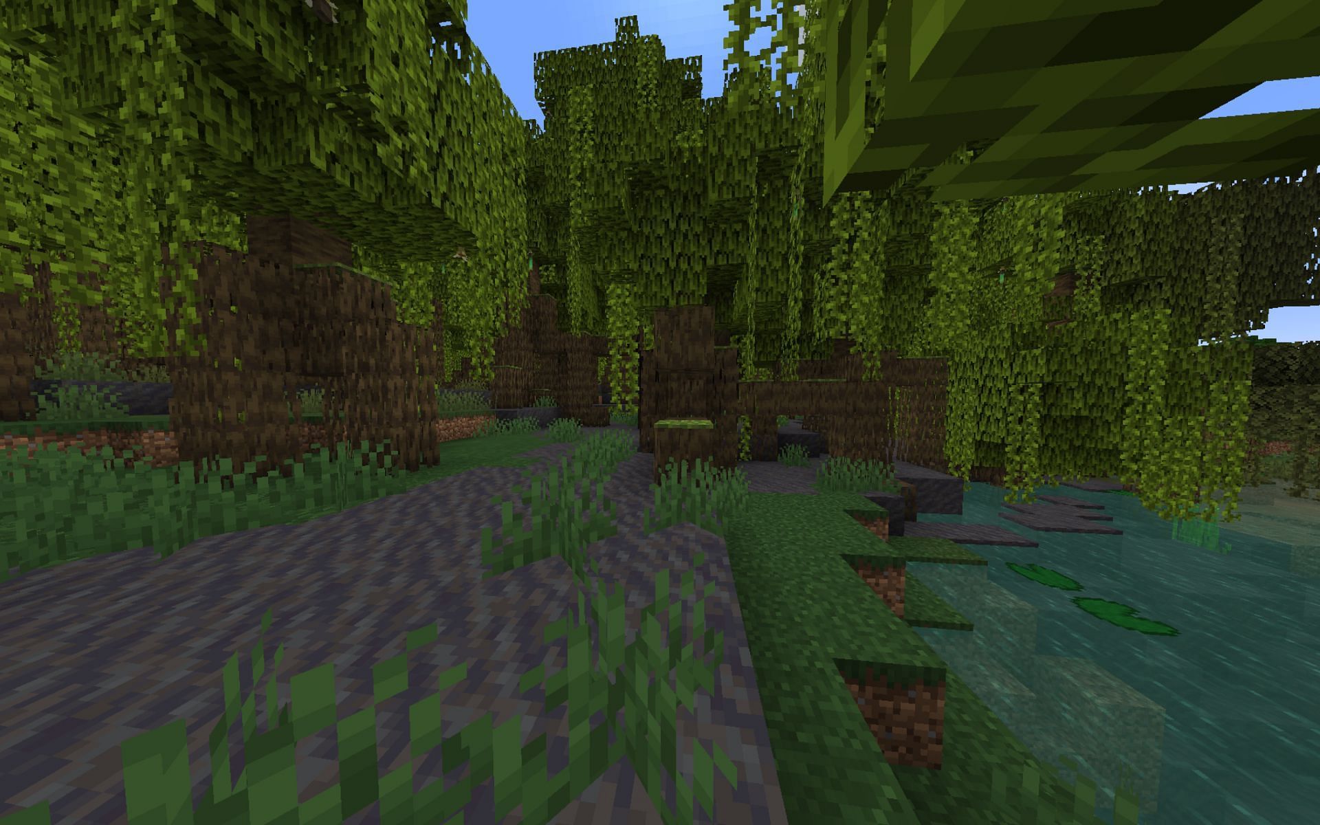 The Mangrove biome the player spawns in (Image via Minecraft)