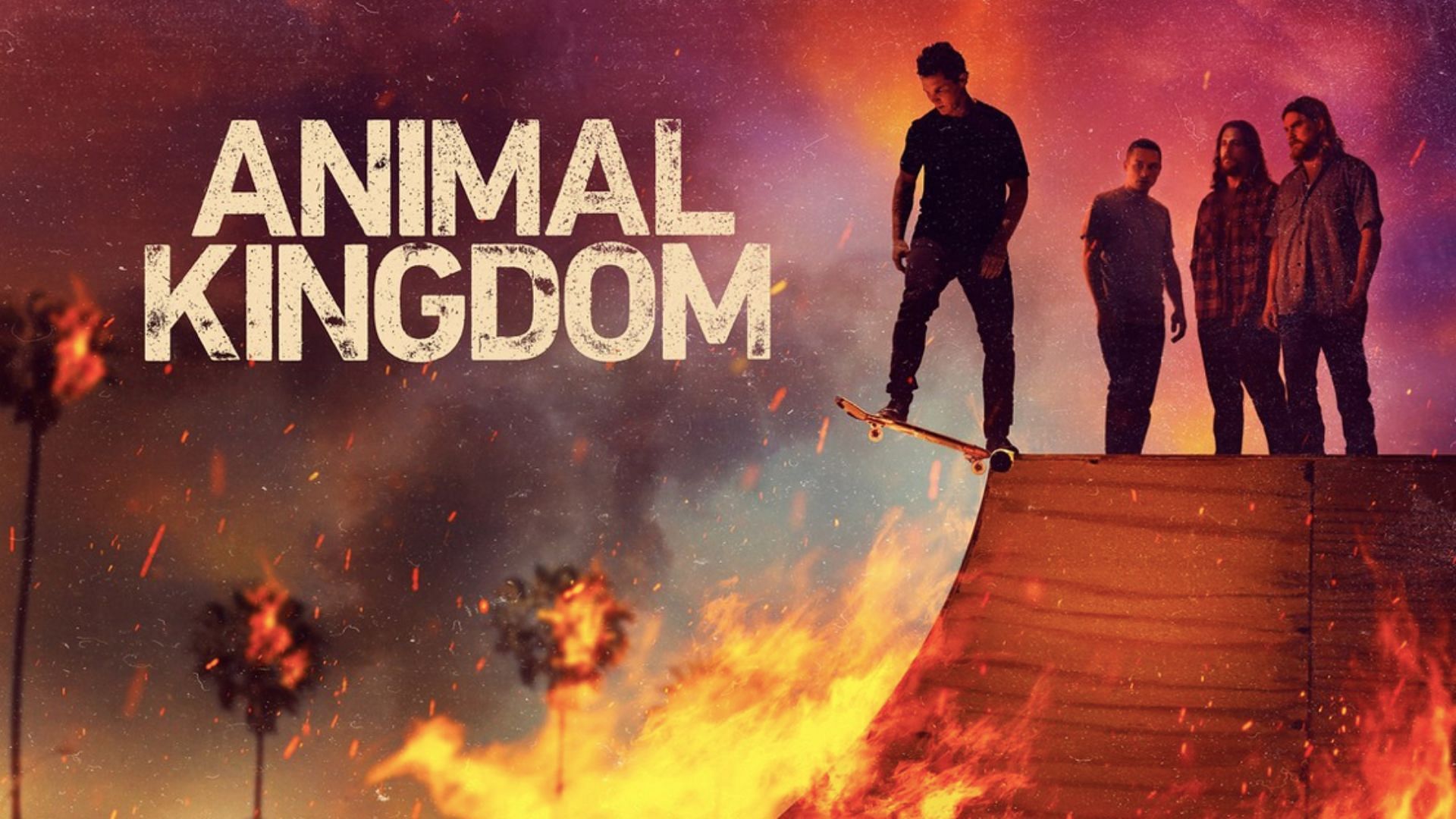 Animal Kingdom Season 6 (Image via Rotten Tomatoes)