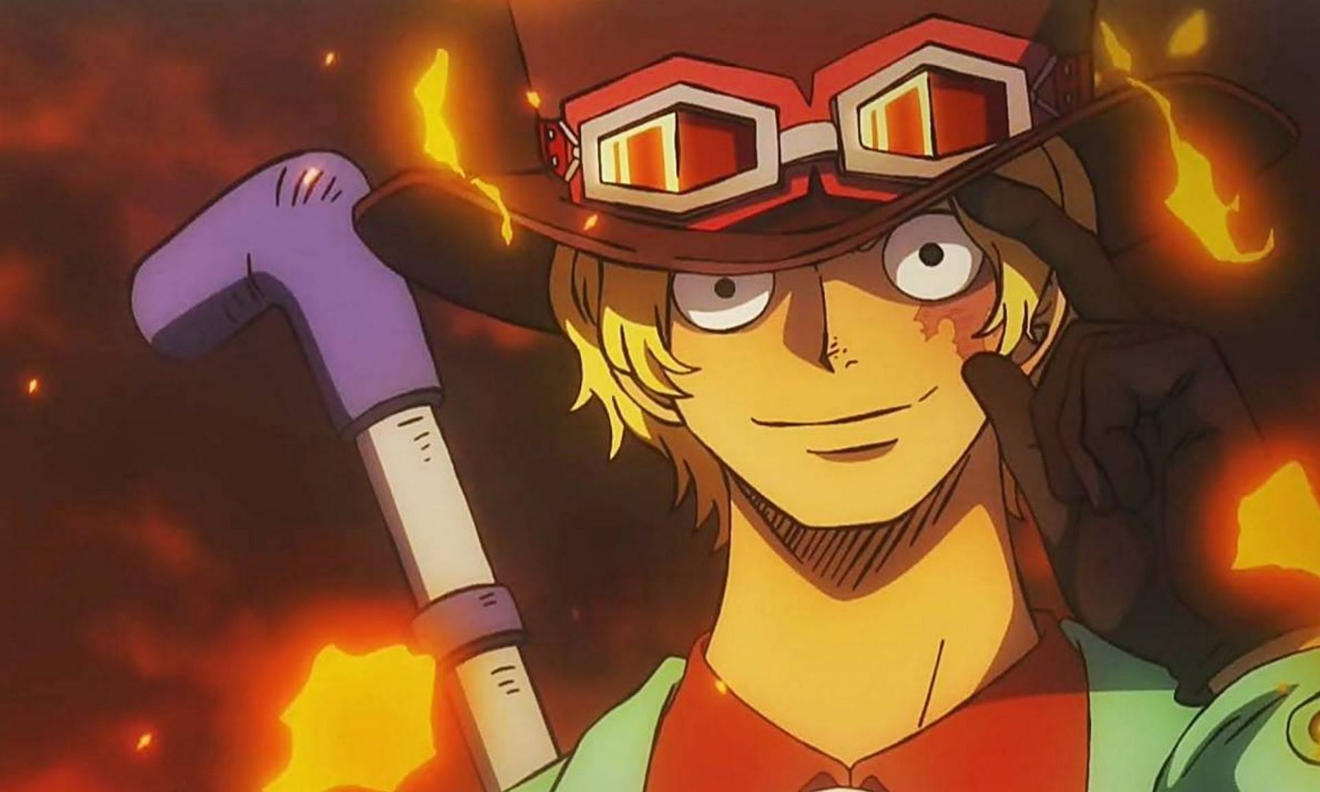 One Piece Anime Ace Sabo Devil Fruit Mera Mera No Mi Fire 