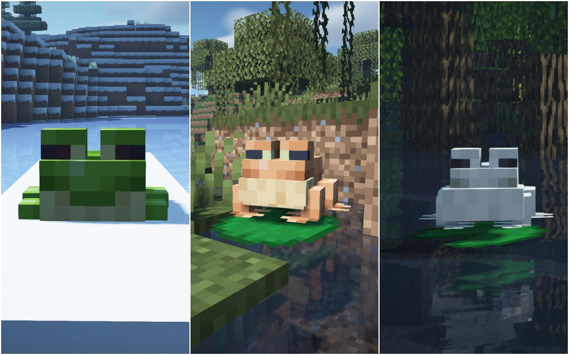 All three types of frogs with different colors (Image via Mojang)