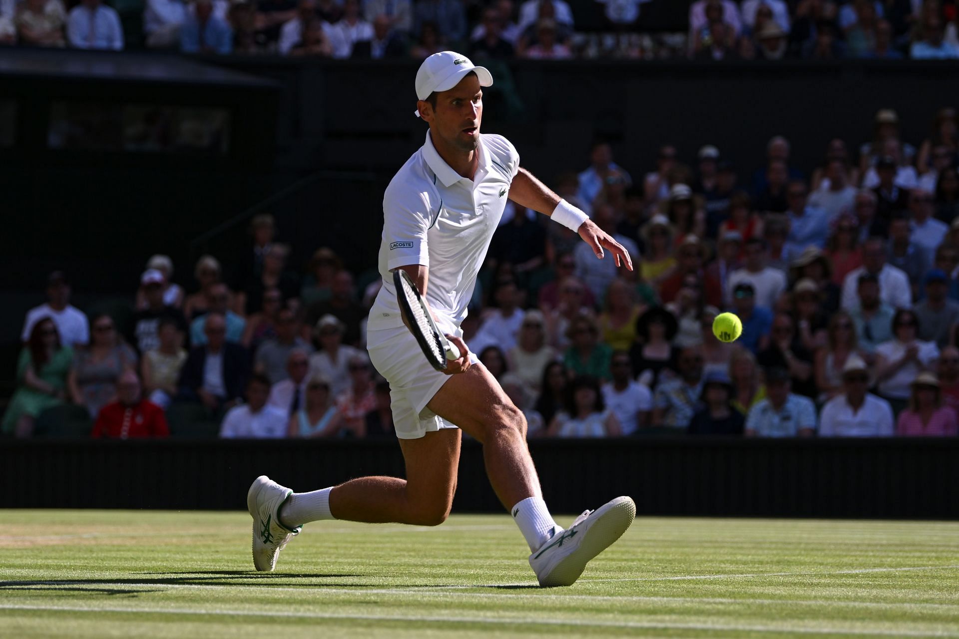 Novak Djokovic is second in the Grand Slam race behind Rafael Nadal.