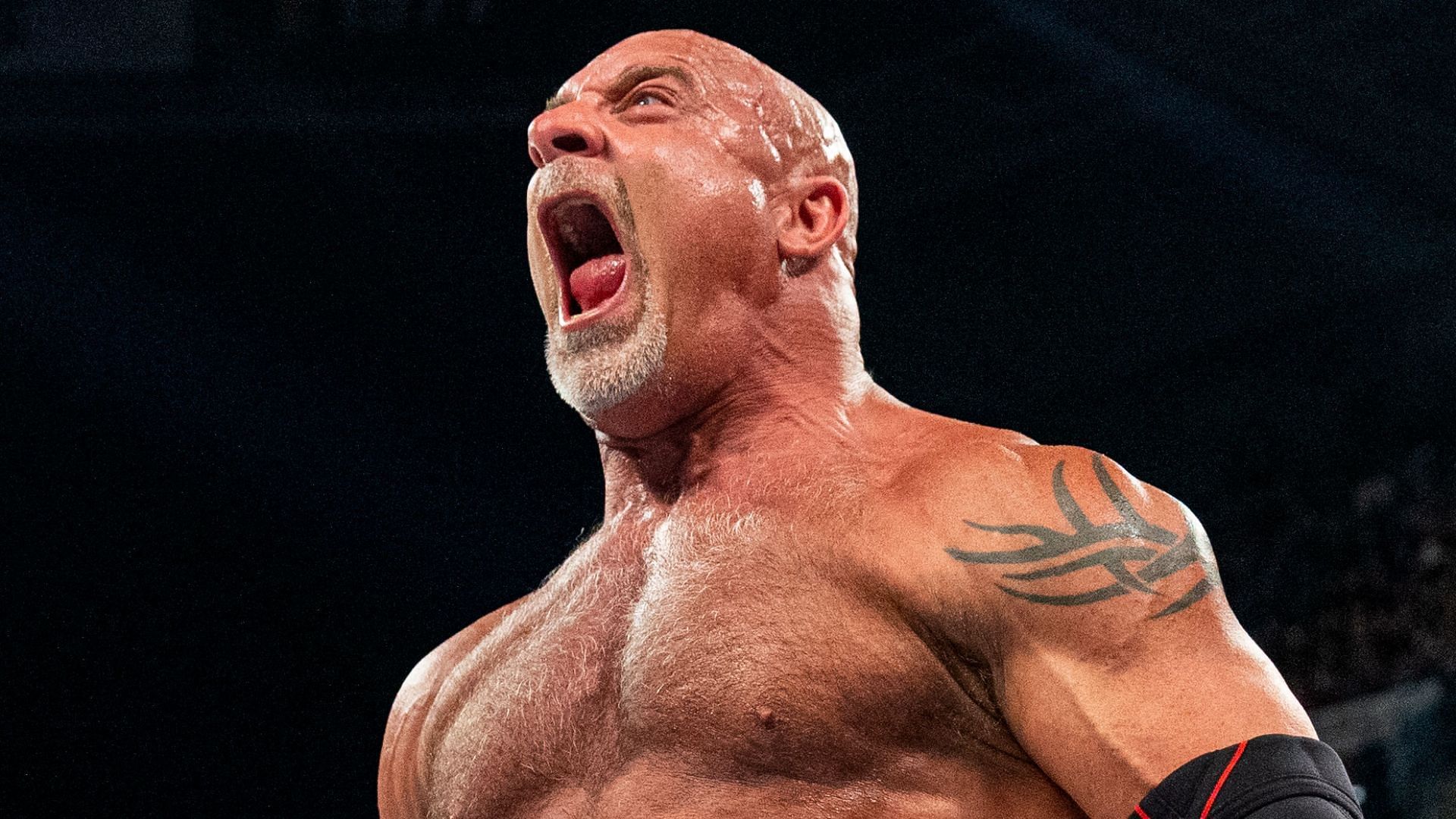 WWE Hall of Famer Goldberg had his last match at Elimination Chamber 2022.