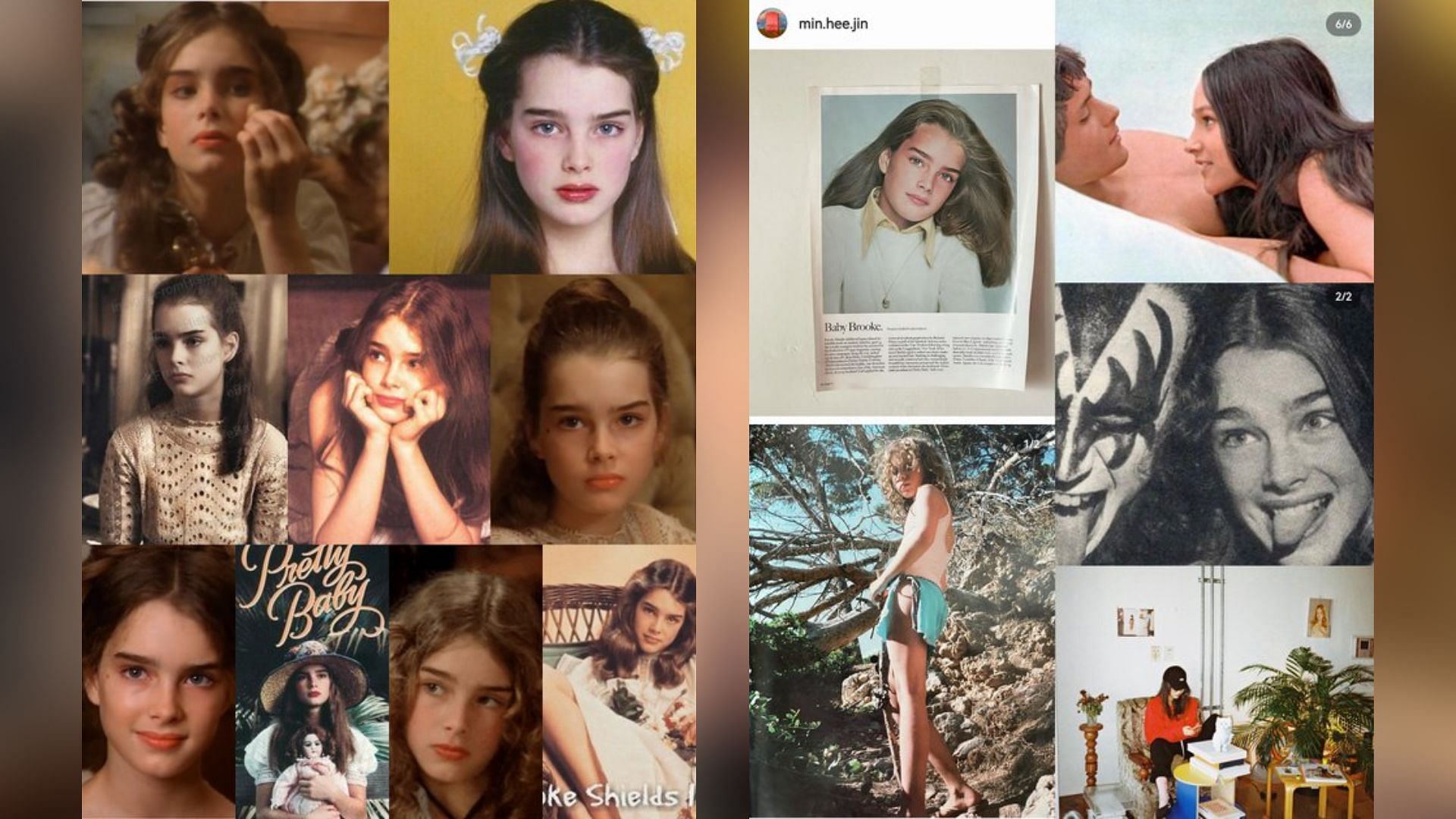 Left: Collage of images of Brooke Shields; Right: Collage of Min Hee-jin&#039;s Instagram posts (Images via Pann Nate)