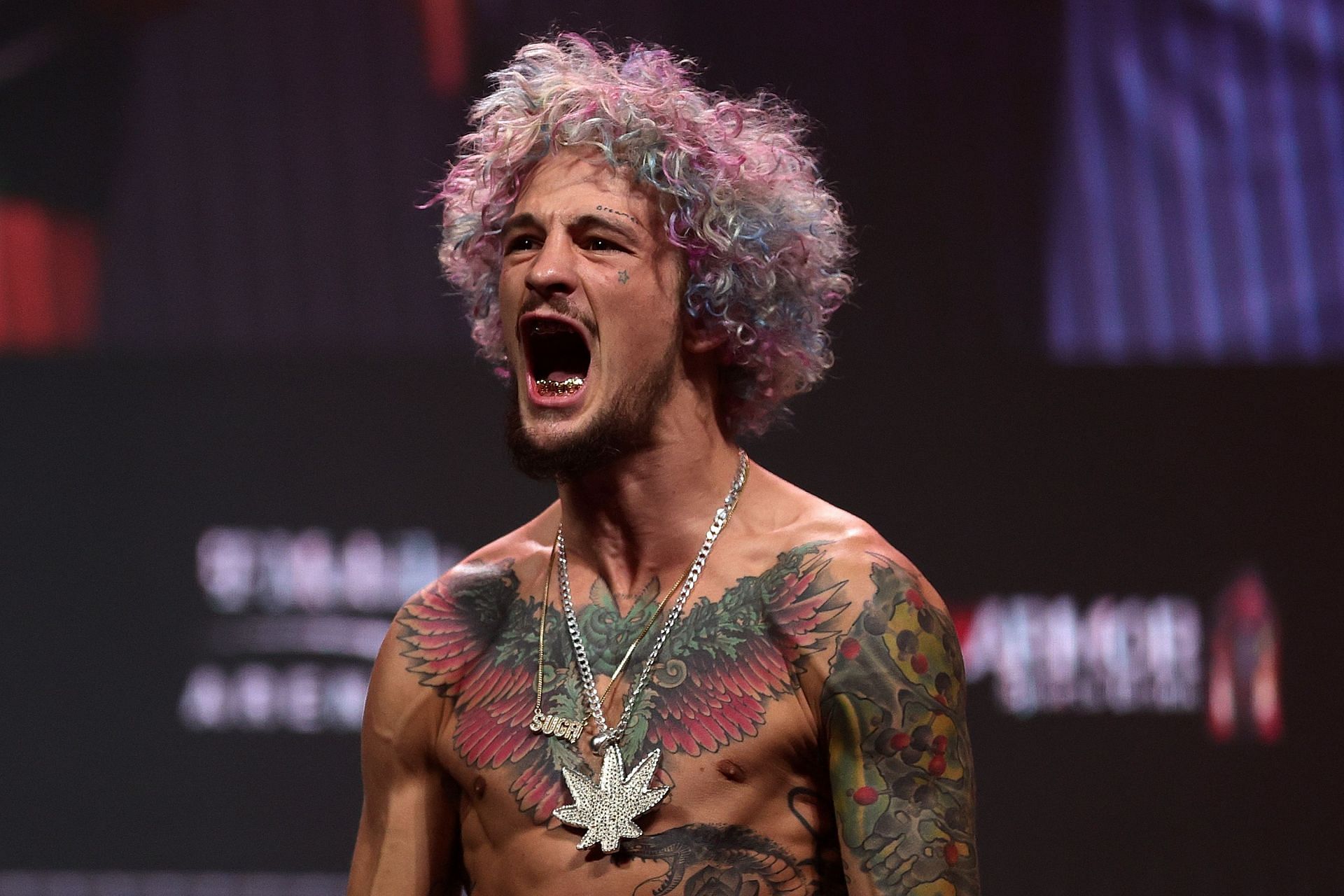 Sean O&#039;Malley is undervalued according to top UFC lightweight Michael Chandler