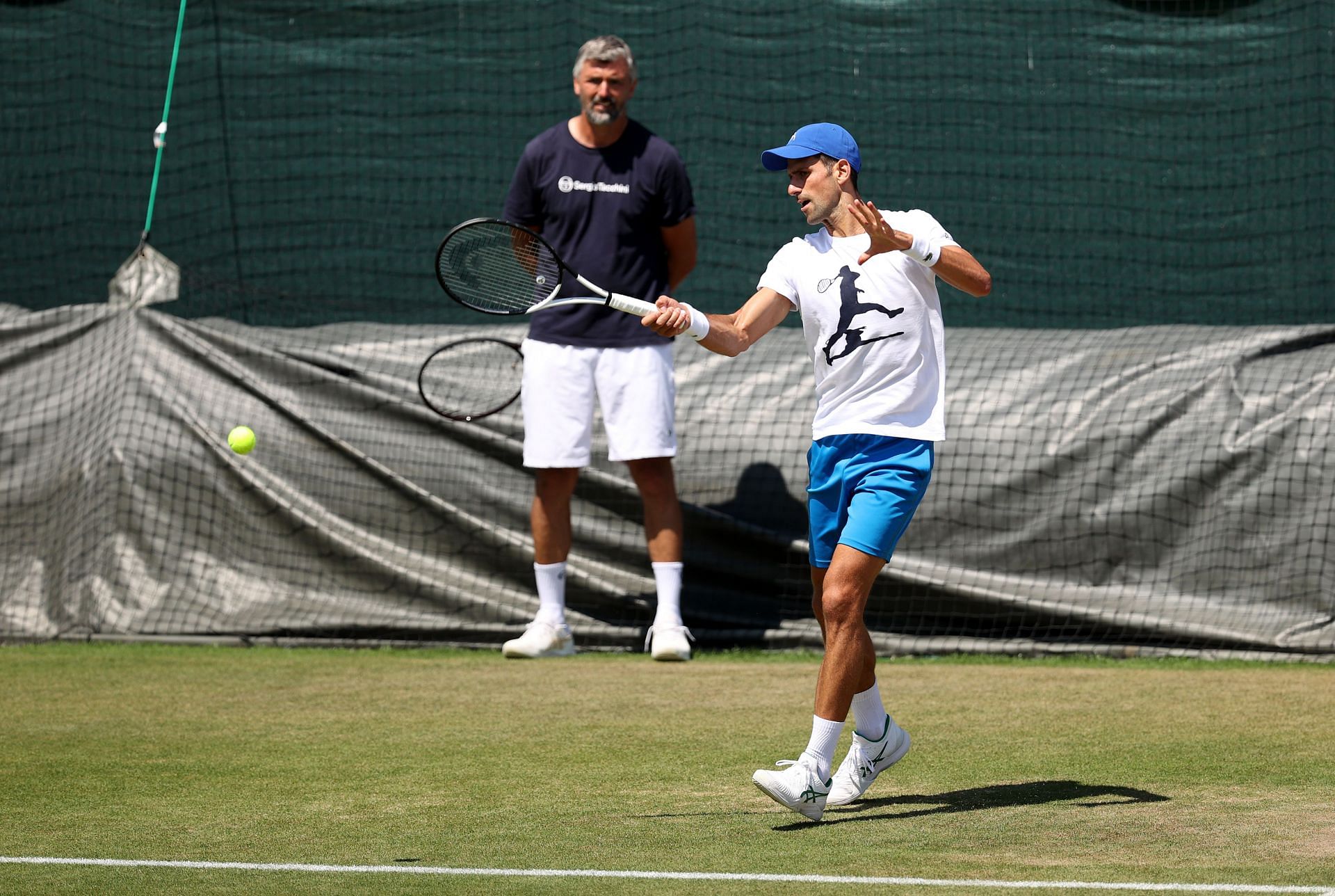 Novak Djokovic will try to win his seventh Wimbledon title on Sunday