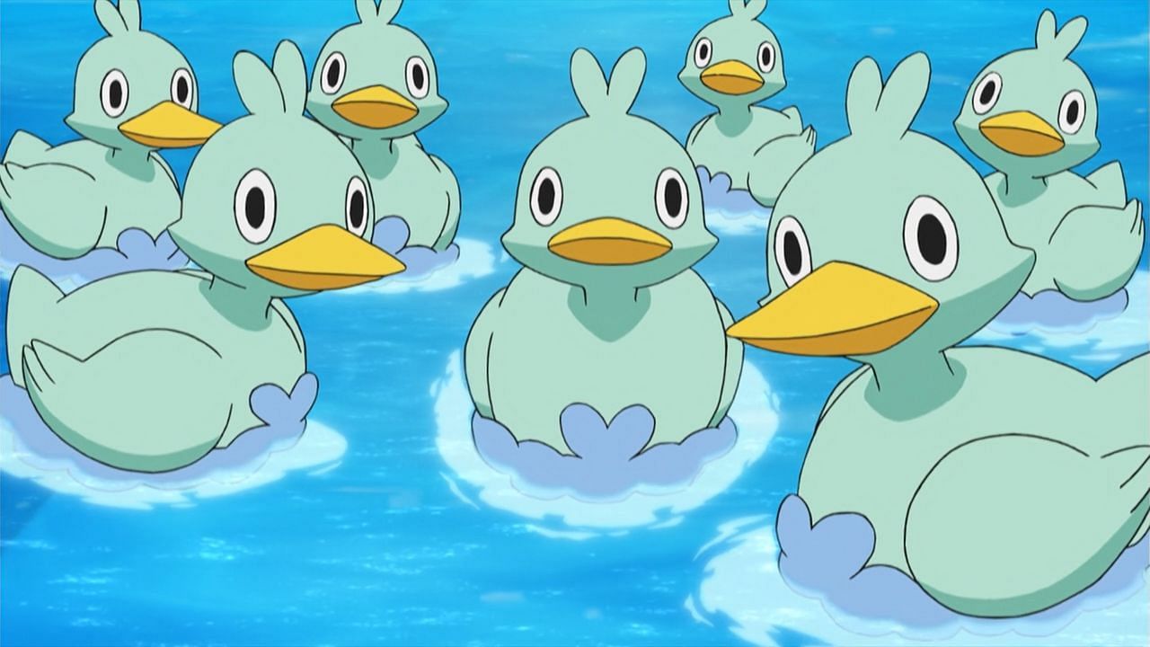 A flock of Ducklett as seen in the anime (Image via The Pokemon Company)