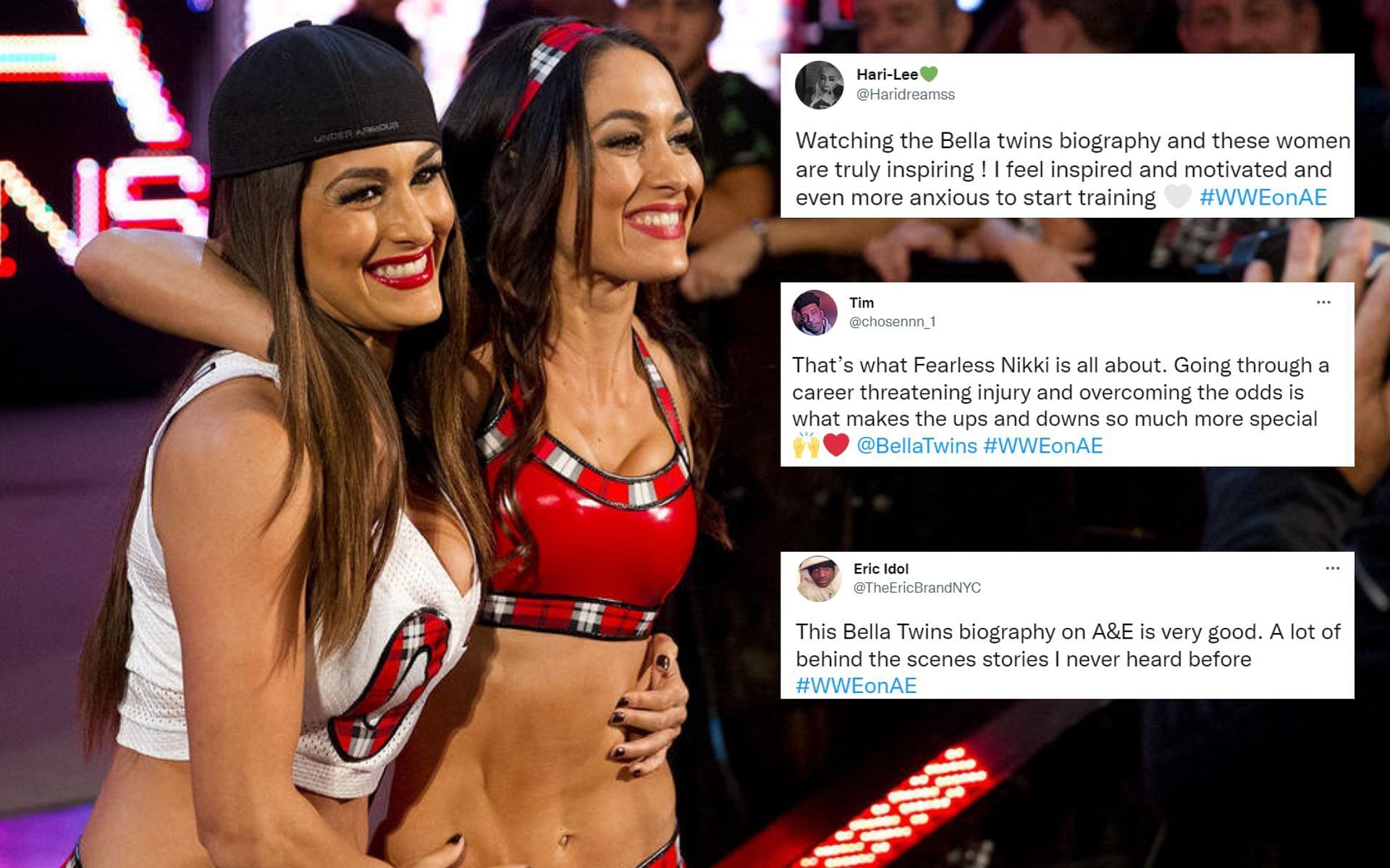 The Bella Twins captivated the fans during their time in WWE.
