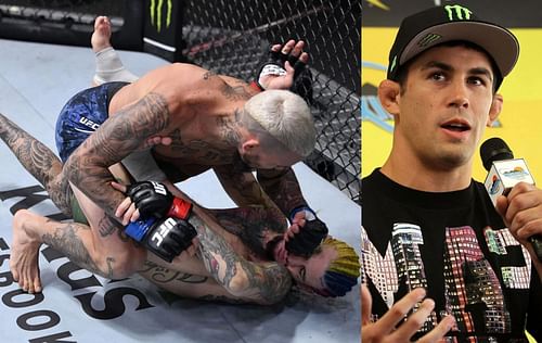 Marlon Vera (top), Sean O'Malley (bottom) & Dominick Cruz (right)