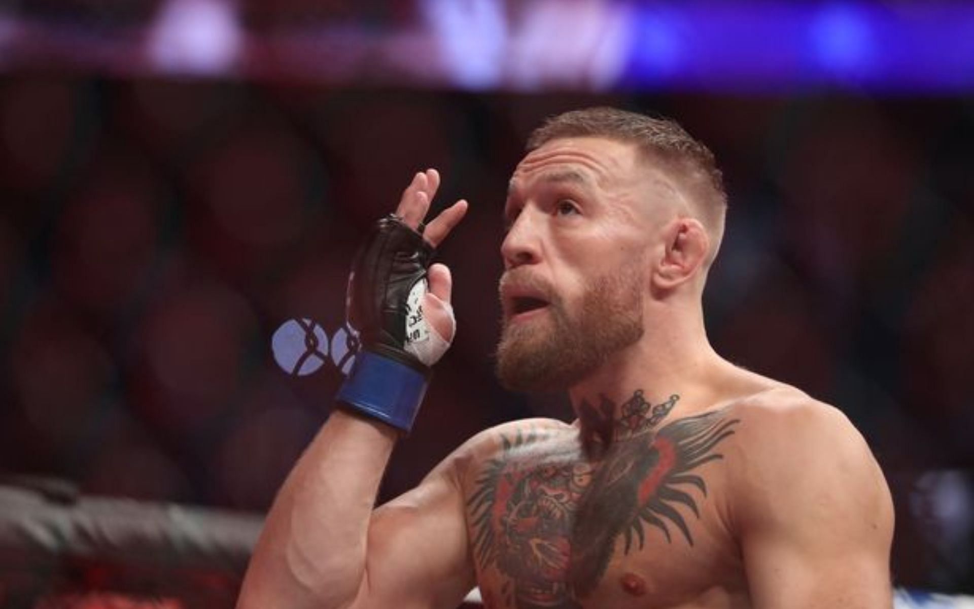 Does Conor McGregor currently get the respect he deserves from UFC fans?