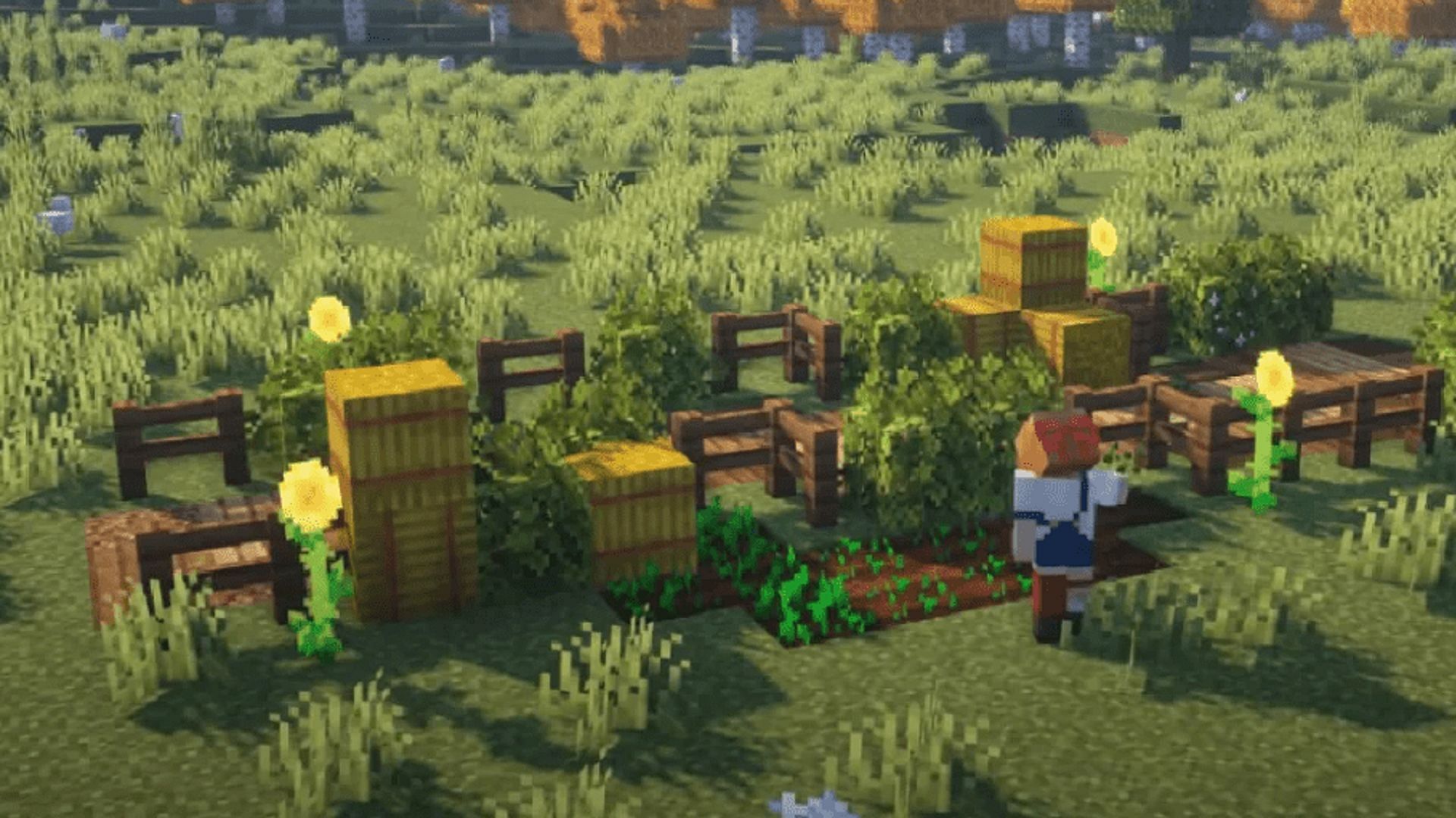 This path design is perfect for Overworld farms and plains biomes (Image via Minecraft.net)