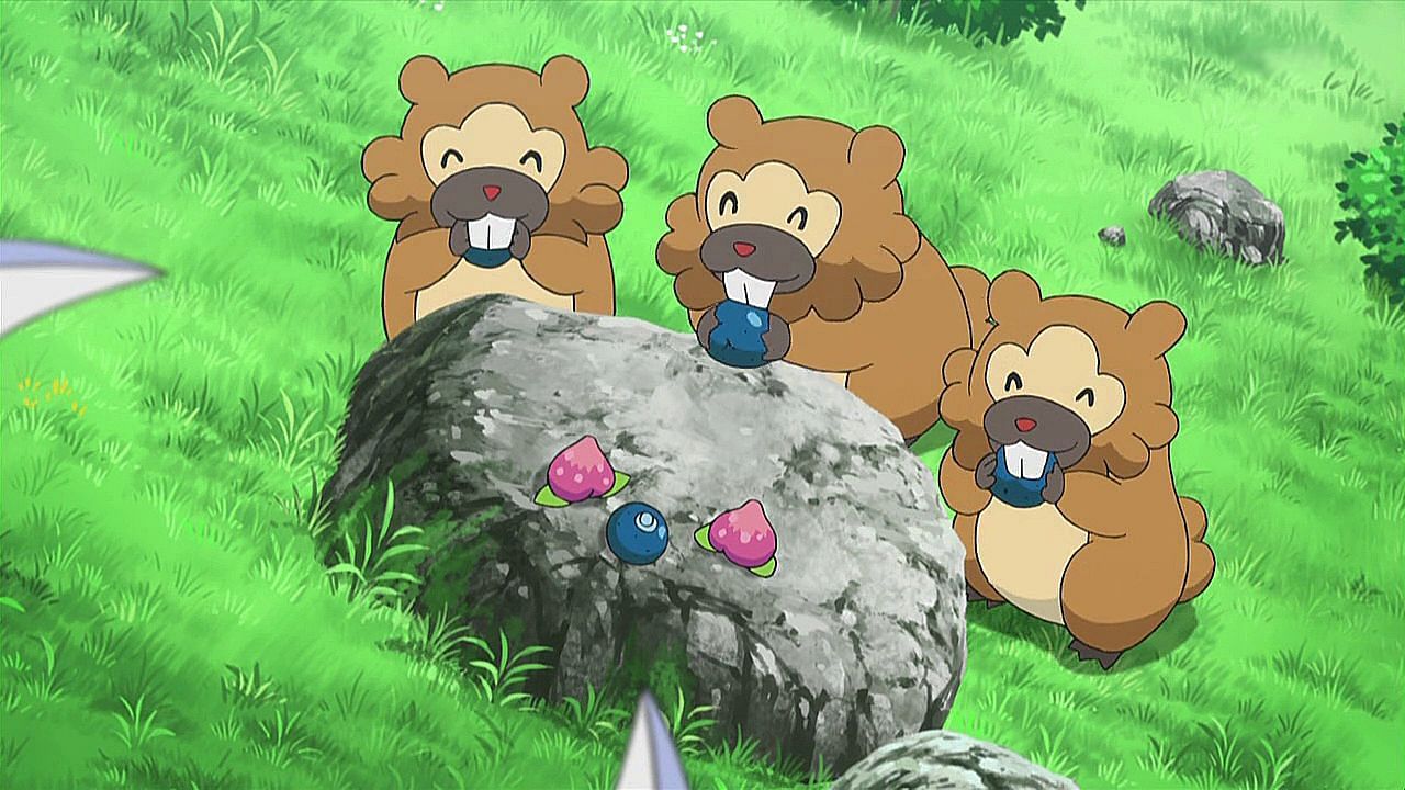 Bidoof as it appears in the anime (Image via The Pokemon Company)