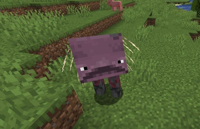 Striders Chest Striders in Minecraft: Behavor, Spawn & Drops