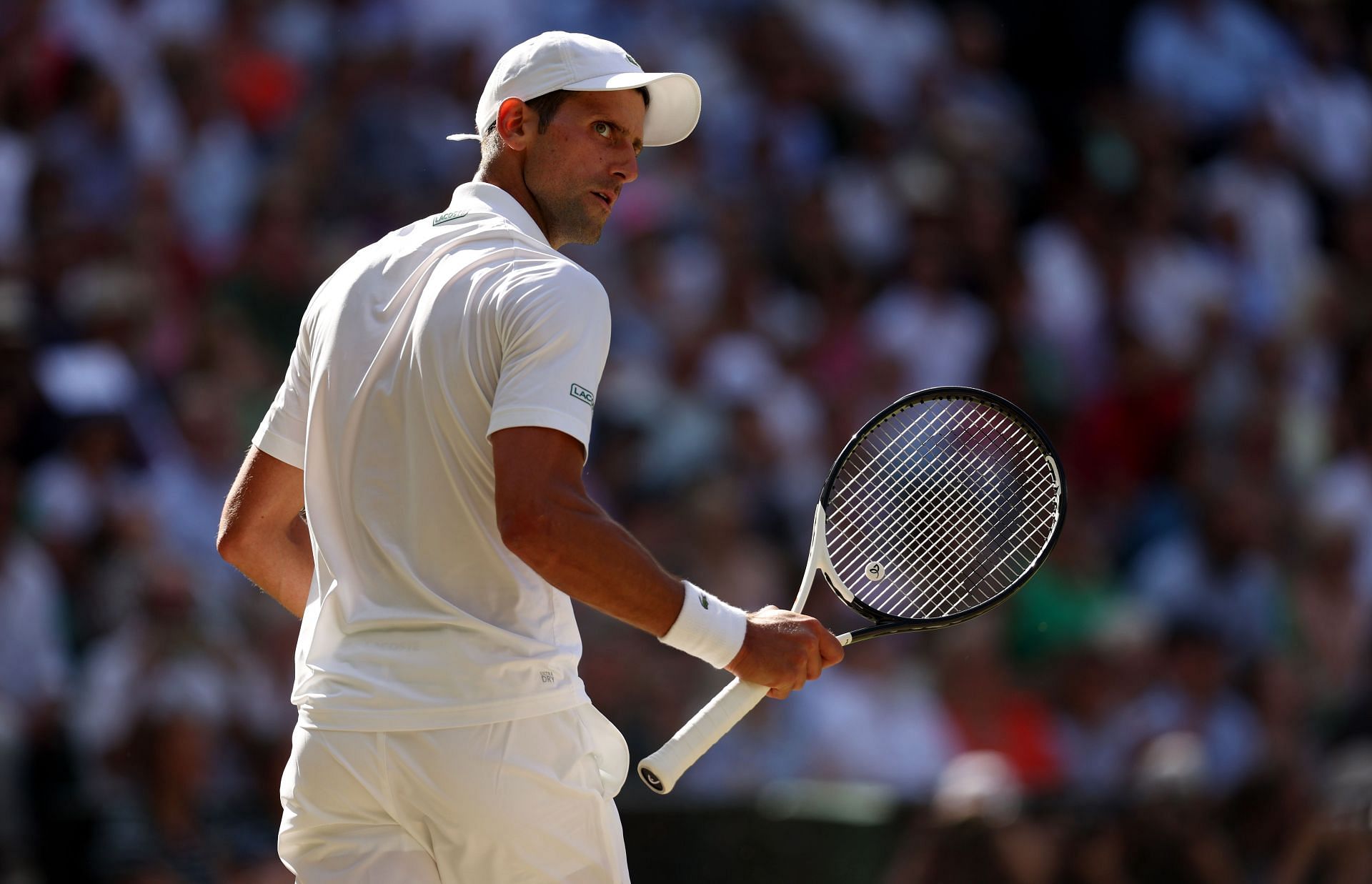 Novak Djokovic will contest his eighth &lt;a href=&#039;https://www.sportskeeda.com/go/wimbledon&#039; target=&#039;_blank&#039; rel=&#039;noopener noreferrer&#039;&gt;Wimbledon&lt;/a&gt; final on Sunday.