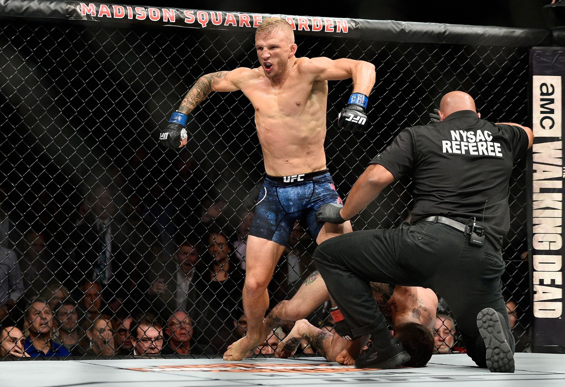 TJ Dillashaw knocked out his bitter rival Cody Garbrandt in their eventual fight