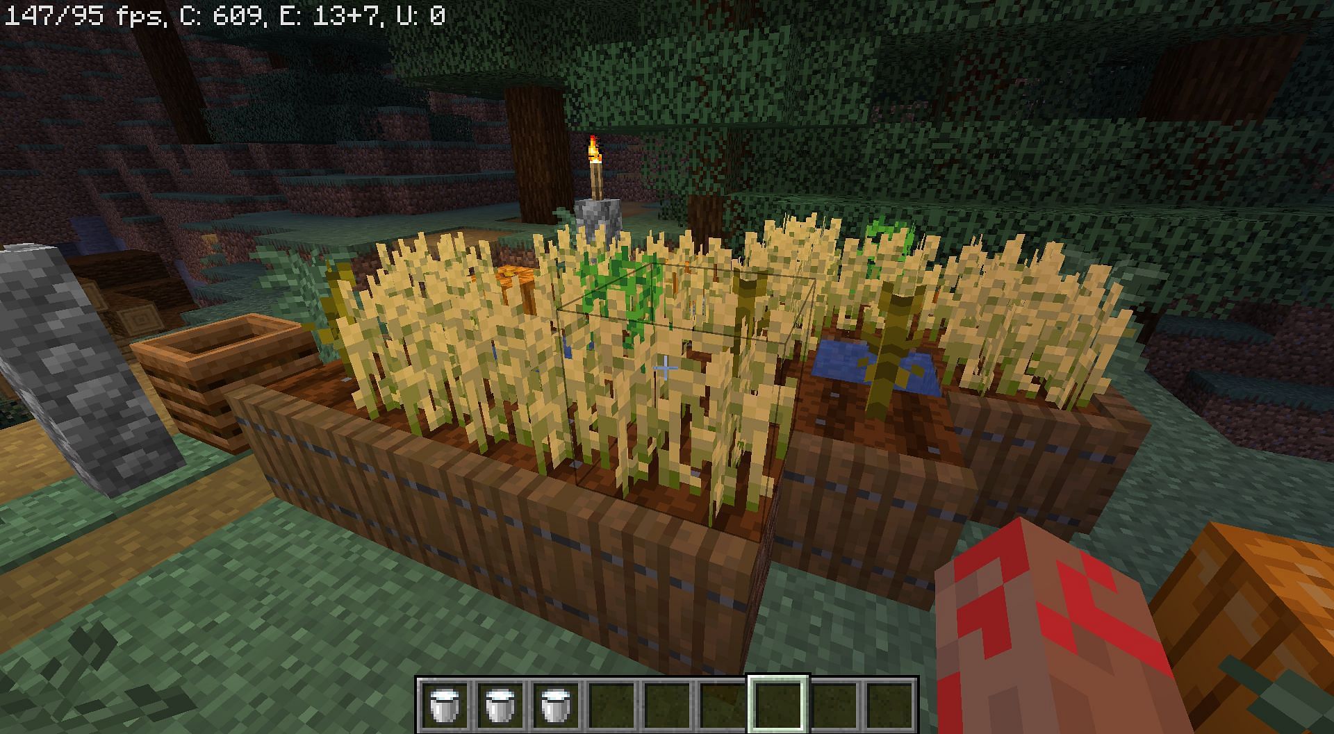 Crops can feed farm animals and can also be converted into edible food items (Image via Minecraft 1.19 update)