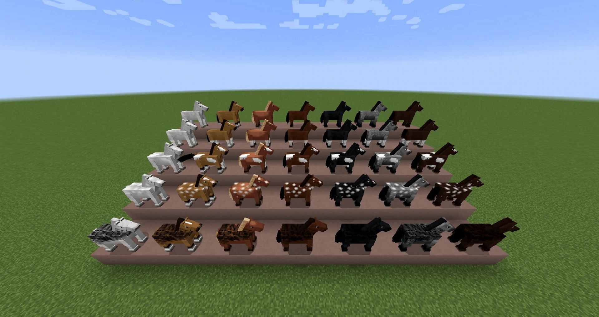 Various horse breeds on display in the game (Image via Minecraft Wiki)