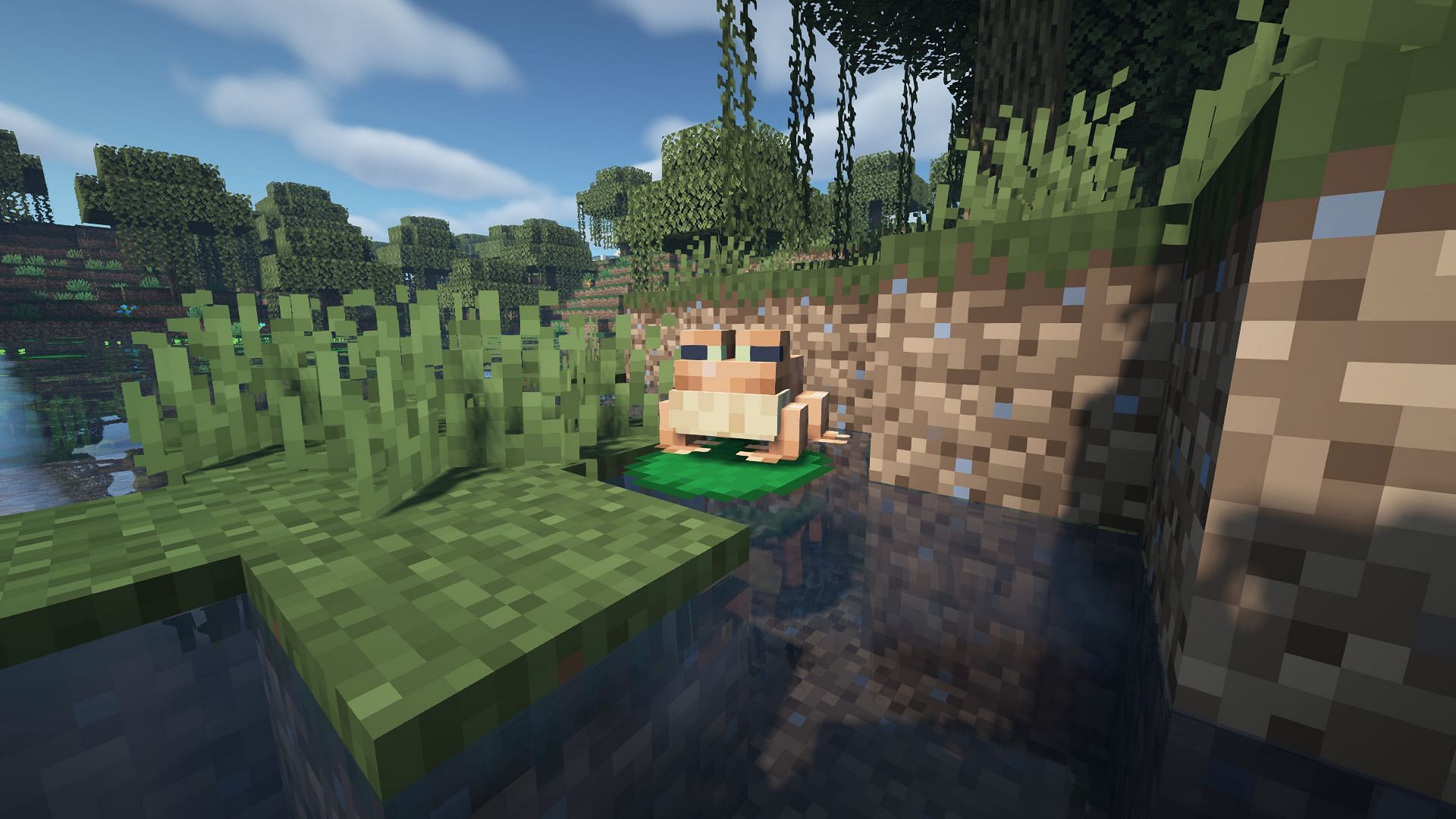 An orange frog in a regular Swamp biome (Image via Minecraft 1.19 update)