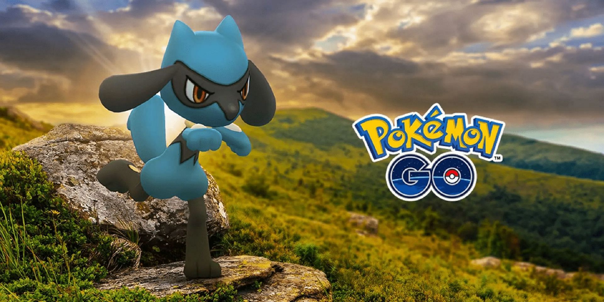 Riolu has potential, but only realizes it after evolving (Image via Niantic)