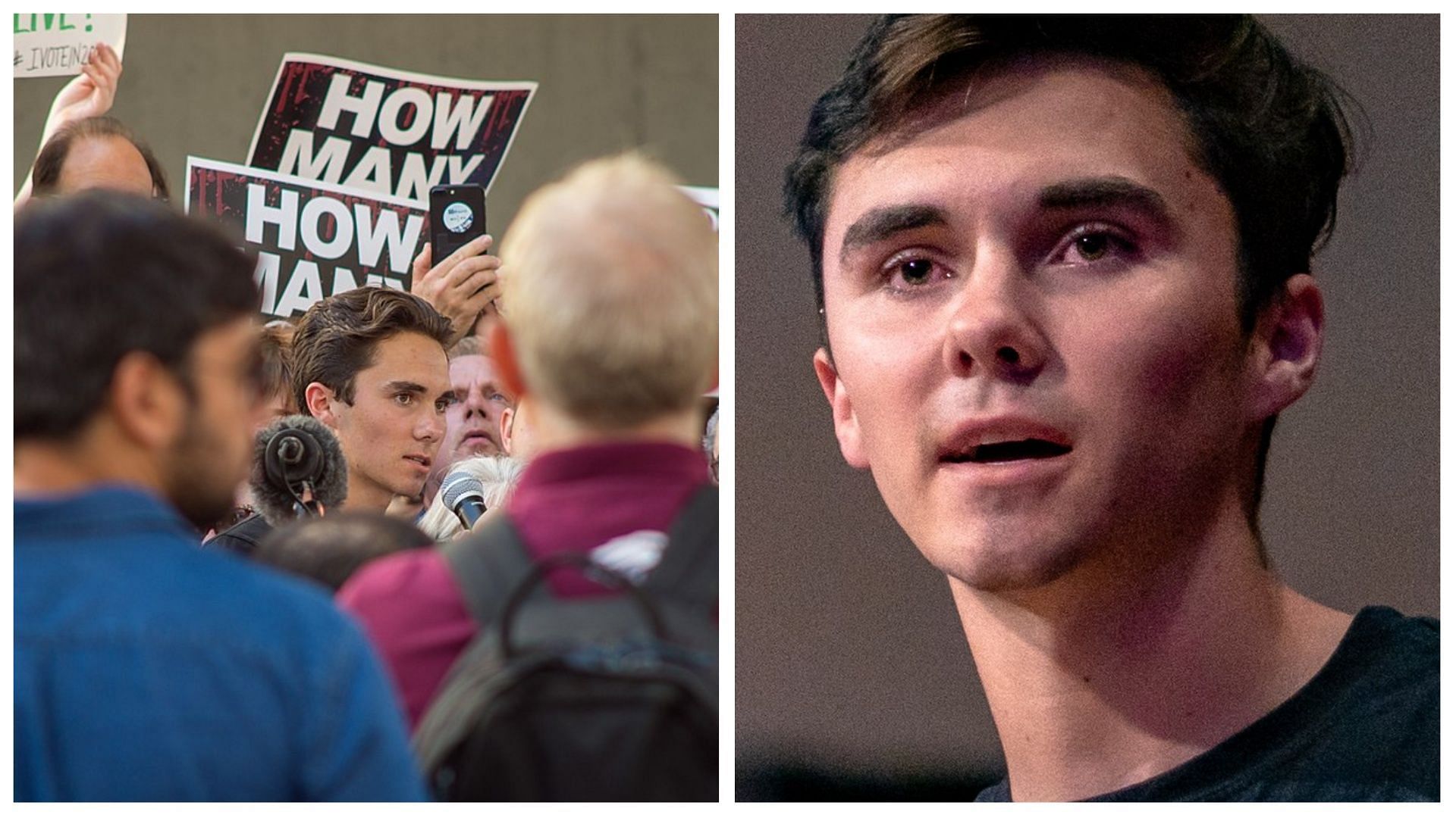 Hogg was removed from the hearing for interrupting lawmakers (images via Lorie Shaull/Barry Stock)