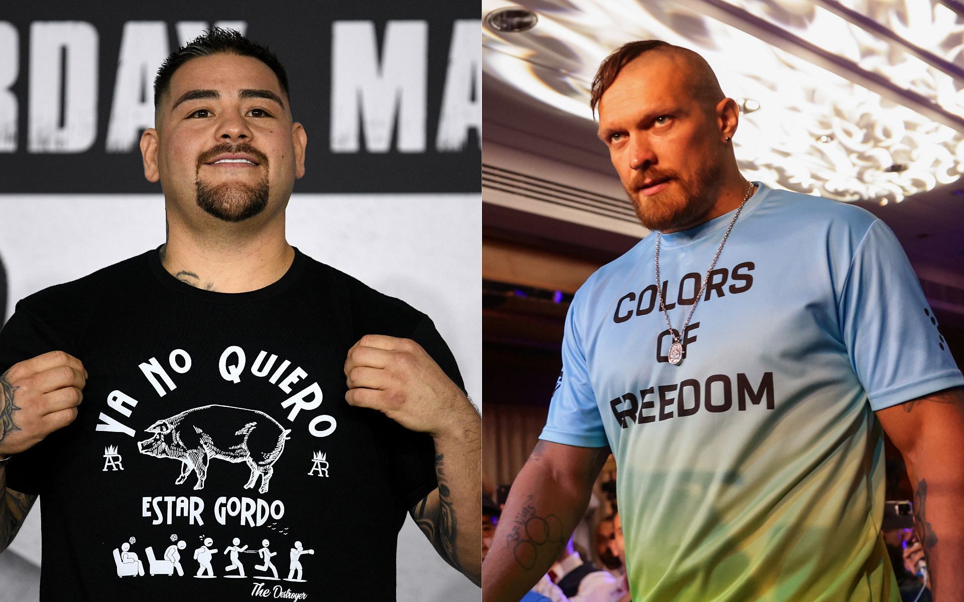 Andy Ruiz Jr. (left) and Oleksandr Usyk (right) (Image credits Getty Images)