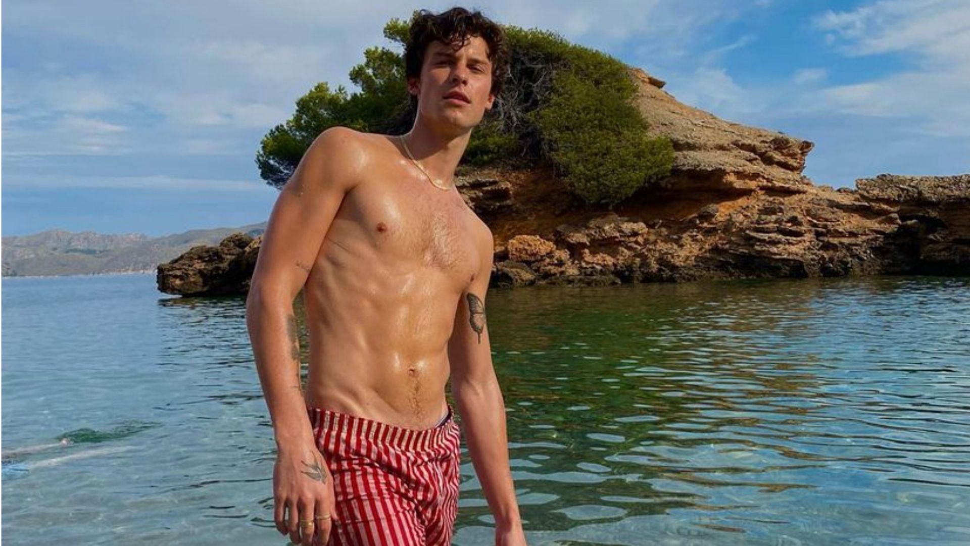 Get sculpted abs like Shawn Mendes. (Image by @shawnmendes via Instagram)