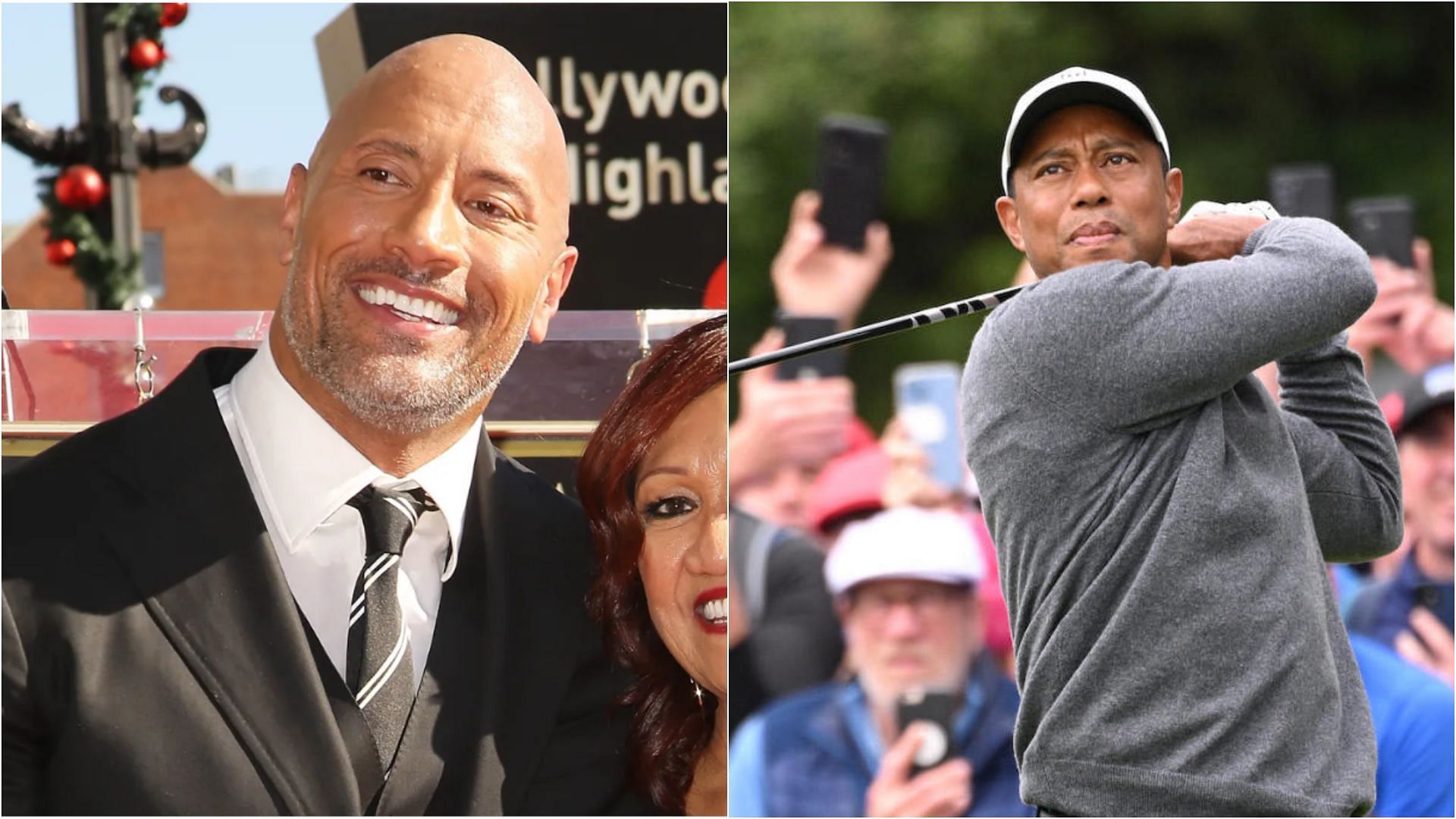 The Rock and Woods are world-famous megastars