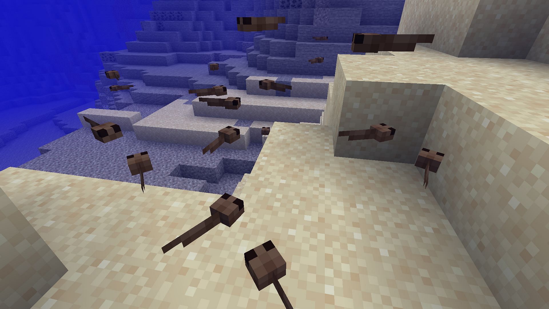Loads of tadpoles spawning from frogspawn eggs (Image via Mojang)