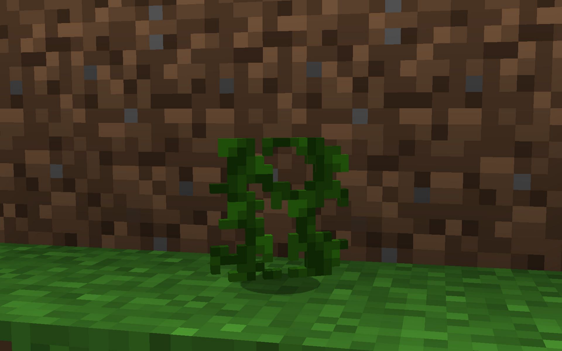 Vines are great decorative blocks that can be obtained in several ways (Image via Minecraft 1.19 update)